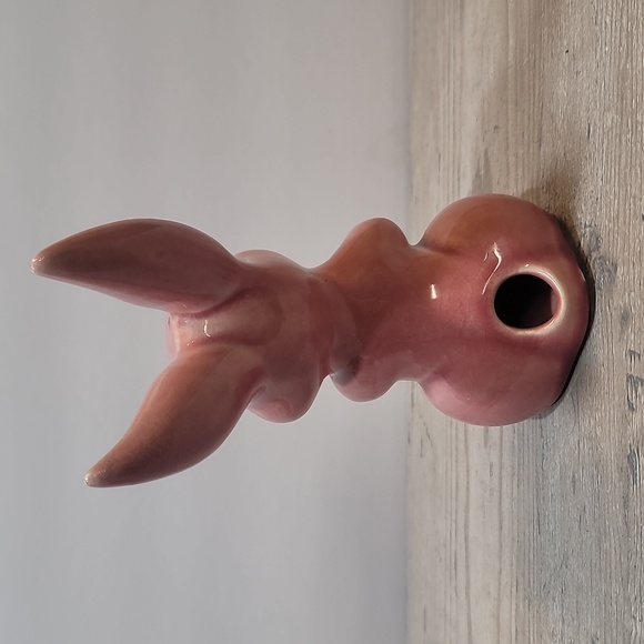 Red Rabbit - Picture 2 of 6